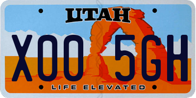 UT license plate X005GH