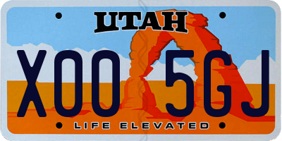 UT license plate X005GJ
