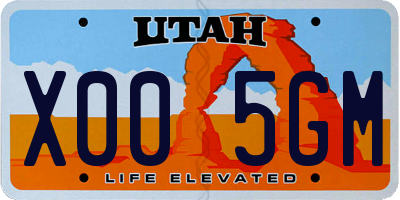 UT license plate X005GM
