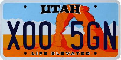 UT license plate X005GN