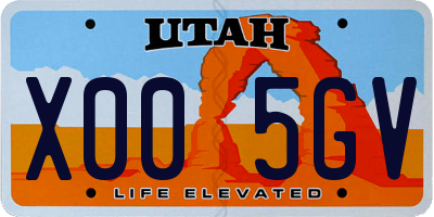 UT license plate X005GV