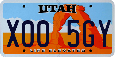UT license plate X005GY