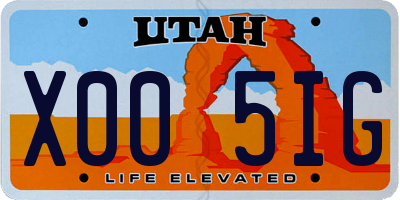 UT license plate X005IG
