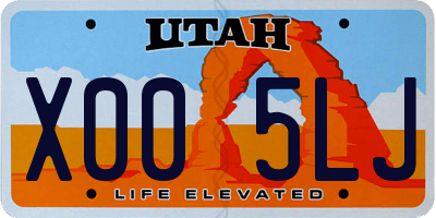 UT license plate X005LJ