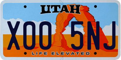 UT license plate X005NJ