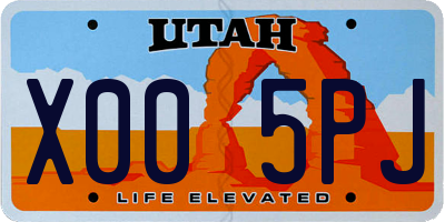UT license plate X005PJ
