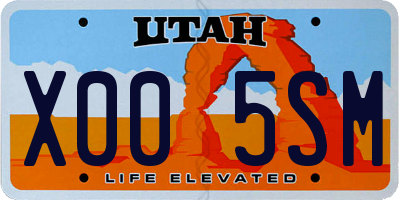 UT license plate X005SM
