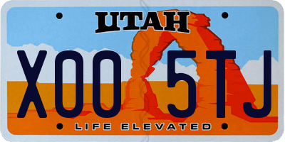 UT license plate X005TJ