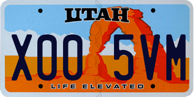 UT license plate X005VM