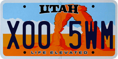 UT license plate X005WM