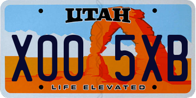 UT license plate X005XB