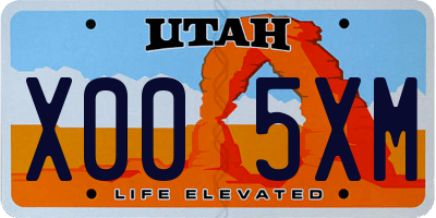 UT license plate X005XM