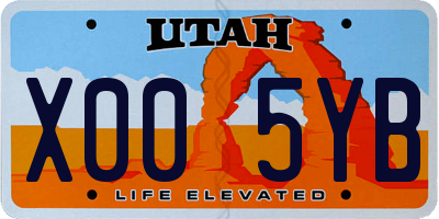 UT license plate X005YB