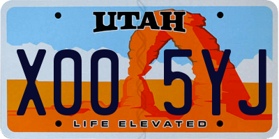 UT license plate X005YJ