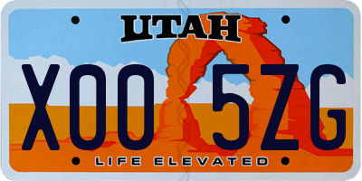 UT license plate X005ZG