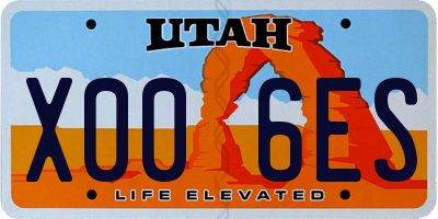 UT license plate X006ES