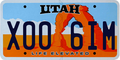 UT license plate X006IM