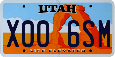 UT license plate X006SM