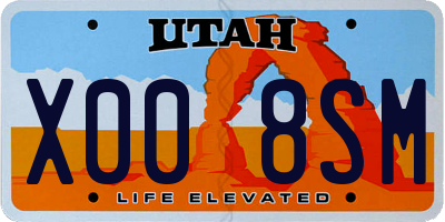 UT license plate X008SM