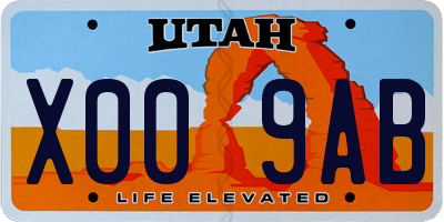 UT license plate X009AB