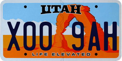 UT license plate X009AH