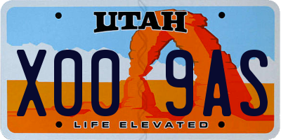 UT license plate X009AS