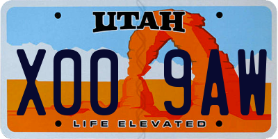 UT license plate X009AW