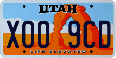 UT license plate X009CD