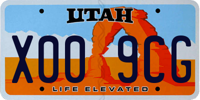 UT license plate X009CG