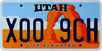 UT license plate X009CH