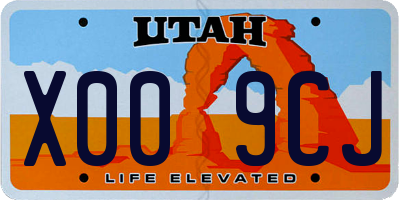 UT license plate X009CJ