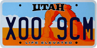 UT license plate X009CM