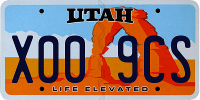 UT license plate X009CS
