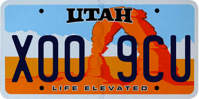 UT license plate X009CU