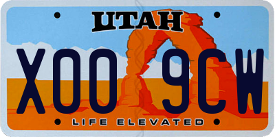 UT license plate X009CW