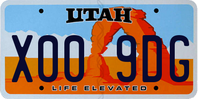 UT license plate X009DG