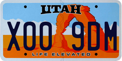 UT license plate X009DM