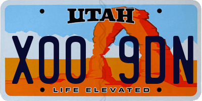 UT license plate X009DN