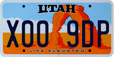 UT license plate X009DP