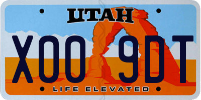 UT license plate X009DT