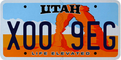 UT license plate X009EG