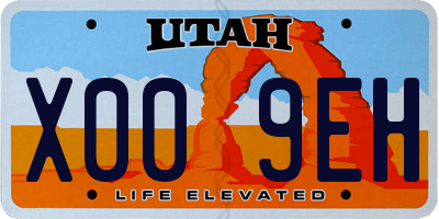 UT license plate X009EH