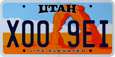 UT license plate X009EI