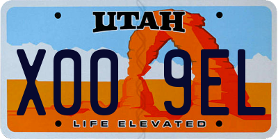 UT license plate X009EL