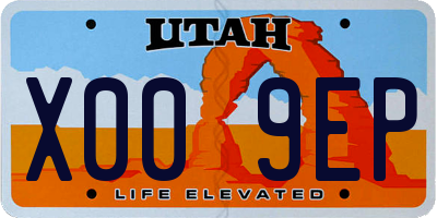 UT license plate X009EP
