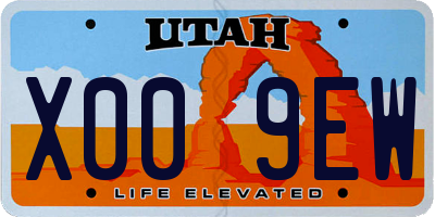UT license plate X009EW