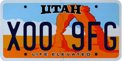 UT license plate X009FG