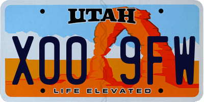 UT license plate X009FW