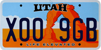 UT license plate X009GB