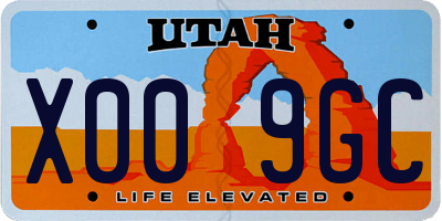 UT license plate X009GC